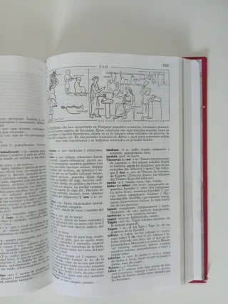 Diccionario Ilustrado Latín. Latino-Español/ Es...