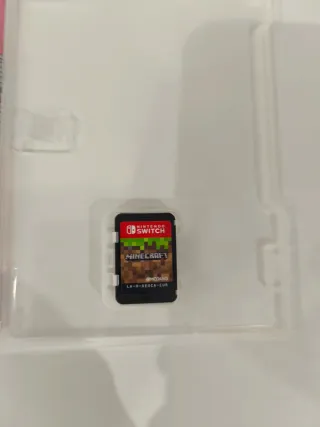 Minecraft Nintendo Switch