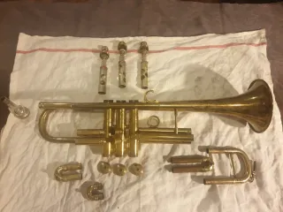 Limpieza ultrasonido trompetas