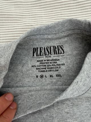 Camiseta Gris Pleasures Gráfica