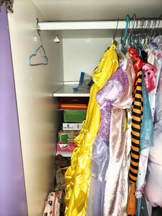 Litera Tren Morado y Blanco