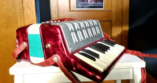 Acordeón de juguete infantil