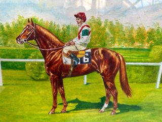 Quadro Olio Cavallo Jockey 40x50