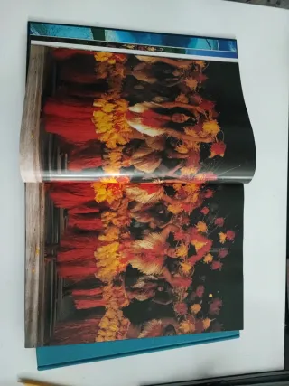 2 libros Micronesia y Polinesia