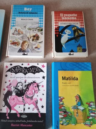 Lote de 10 LIBROS juveniles para niñ@s