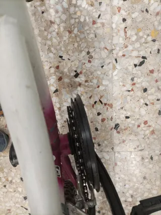 Bicicleta juvenil niña