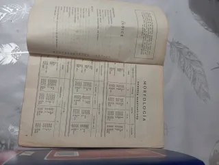 Diccionario  Latino español y diccionario esencial