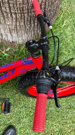 Bicicleta infantil roja con ruedas anchas