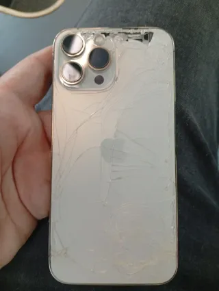 iPhone 13 Pro Plata para piezas