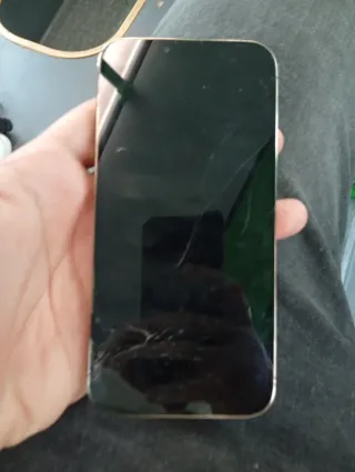 iPhone 13 Pro Plata para piezas