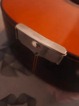 Bandurria Miguel Angel S.L. Rausell