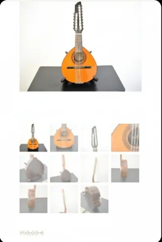 Bandurria Miguel Angel S.L. Rausell