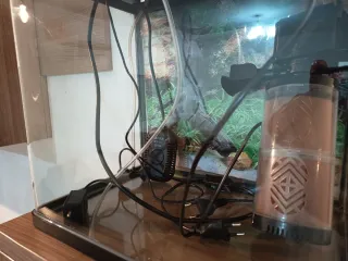 Acuario completo con filtro y calentador