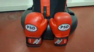 Guantes Boxeo niño Pro San Diego PSD 6 oz