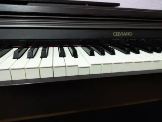 Casio Celviano AP-200 Piano Digital