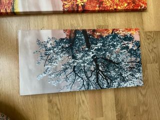 Conjunto 4 cuadros árbol de la vida