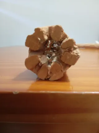 Tronco cueva decorativa