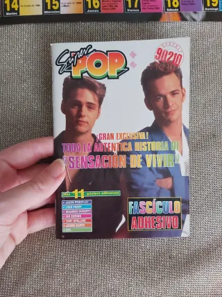 Beverly Hills 90210 & Jason Priestley 90s