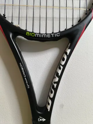 Raqueta Tenis Dunlop Biomimetic 300
