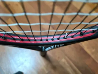 Raqueta Tenis Dunlop Biomimetic 300