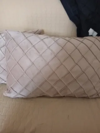 Coppia Cuscini Beige Decorativi