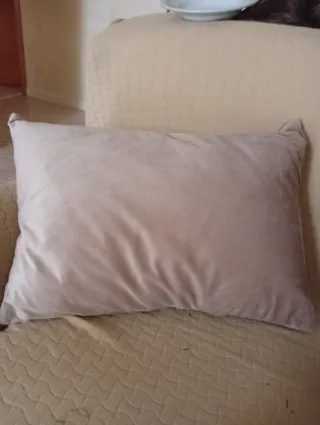 Coppia Cuscini Beige Decorativi