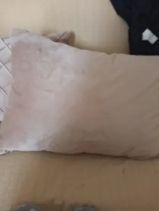 Coppia Cuscini Beige Decorativi