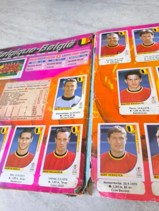 Álbum Panini Mundial Corea Japón 2002