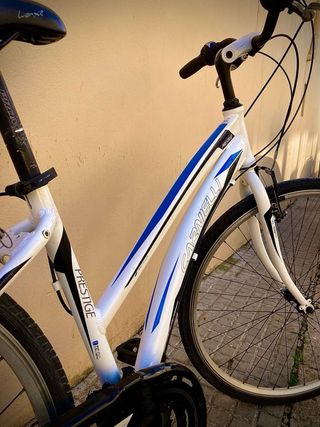 Bicicleta Urbana Rueda 700