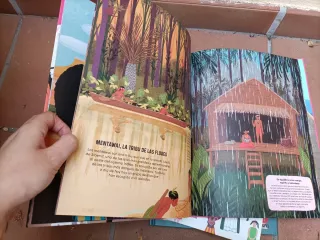 Lote álbumes ilustrados -cuentos