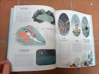 Lote álbumes ilustrados -cuentos