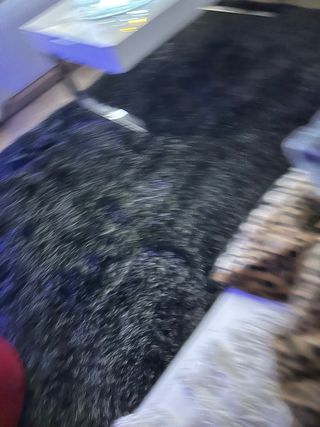 Alfombra pelo largo gris claro 230x160 cm