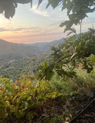 Cortijo en Almuñecar