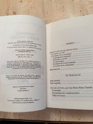 Libro El tragaluz de Vallejo