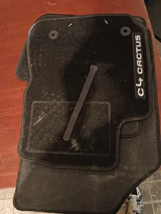 Alfombrillas C4 Cactus