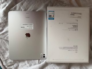 iPad Pro 13 1TB Wifi Plata M4