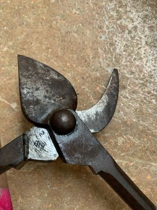 Tijeras de podar con mangos de madera