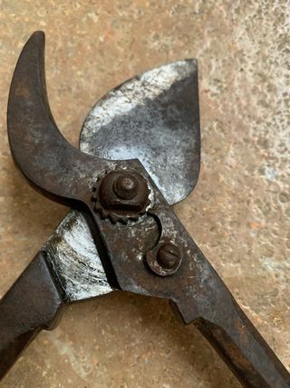 Tijeras de podar con mangos de madera