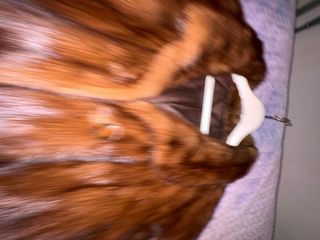 Chaquetilla de pelo marrón