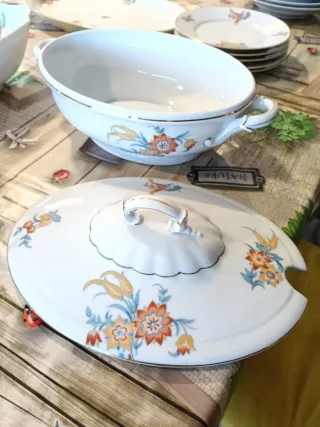 Vajilla Porcelana Alt Schönwald Bavaria