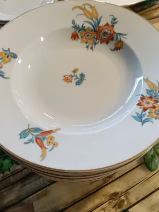 Vajilla Porcelana Alt Schönwald Bavaria