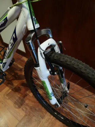 Bicicleta de Montaña