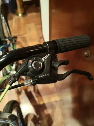 Bicicleta de Montaña