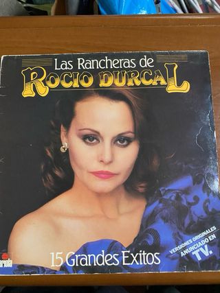 Collezione di 15 Vinili