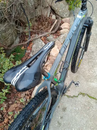 Berria Bravo Équipe – Talla M – Carbono – 10,2 kg