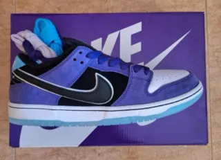 Nike SB Dunk Low Pro x Hayley Wilson