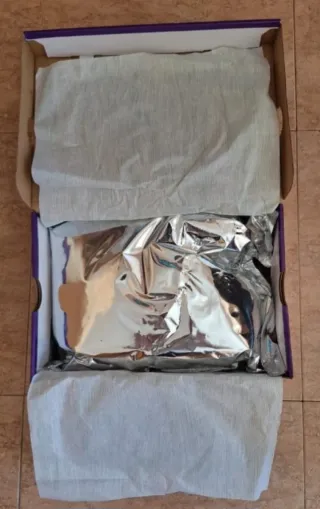 Nike SB Dunk Low Pro x Hayley Wilson