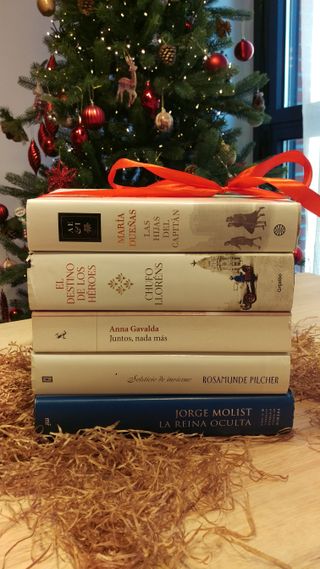 Lote de libros  (oportunidad )