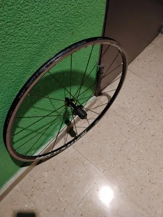 Rueda Trasera Mavic Aksium Carretera