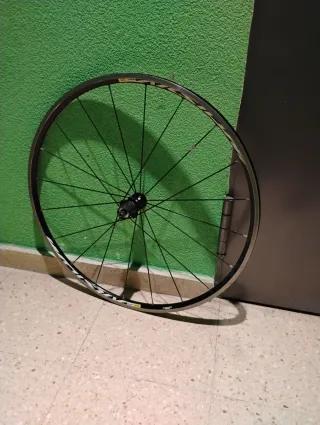 Rueda Trasera Mavic Aksium Carretera